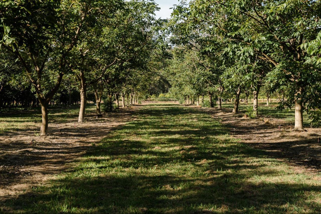 Walnut Tree Cottages Whorouly Ngoại thất bức ảnh
