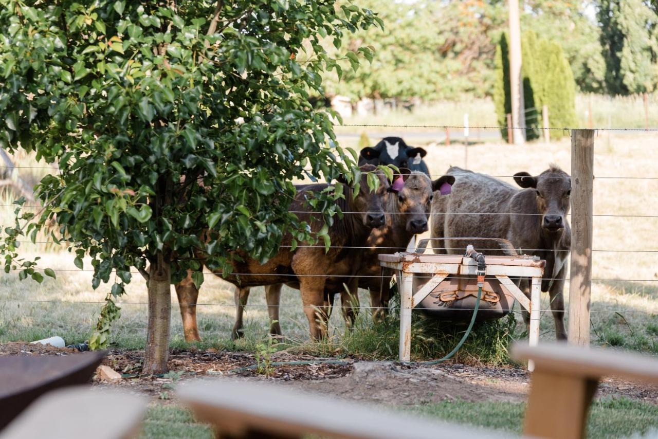 Walnut Tree Cottages Whorouly Ngoại thất bức ảnh